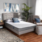 Emery 6-Inch Dual Layered Hypoallergenic Full Size Memory Foam Mattress FredCo