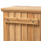 Eren Modern and Contemporary Farmhouse Natural Oak Brown Finished Wood 1-Door Shoe Cabinet FredCo