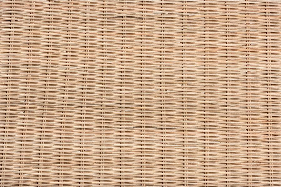 Farica Modern Bohemian Natural Rattan And Mahogany Accent Bench FredCo