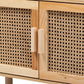 Faulkner Mid-Century Modern Natural Brown Finished Wood and Rattan 2-Door Bookcase FredCo