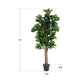 Faux Fiddle Leaf Fig Tree, Green 71 Inch Tall FredCo