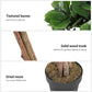 Faux Fiddle Leaf Fig Tree, Green 71 Inch Tall FredCo