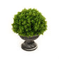 Faux Potted Plant ZENC-1 FredCo