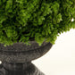 Faux Potted Plant ZENC-1 FredCo