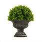 Faux Potted Plant ZENC-1 FredCo