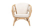 Feya Modern Bohemian Natural Brown Antique Rattan Armchair FredCo