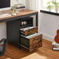 File Cabinet with 2 Drawers Rustic Brown FredCo