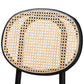Garold Mid-Century Modern Brown Woven Rattan and Black Wood 2-Piece Cane Dining Chair Set FredCo