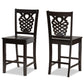 Gervais Modern and Contemporary Transitional Dark Brown Finished Wood 2-Piece Counter Stool Set FredCo