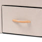 Gerwin Modern and Contemporary Beige Fabric Upholstered and Oak Brown Finished Wood 2-Drawer Storage Ottoman FredCo