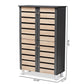 Gisela Modern and Contemporary Two-Tone Oak and Dark Gray 4-Door Shoe Storage Cabinet FredCo