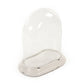 Glass Terrarium w/ Distressed Crackle White Ceramic Base (6608S A369) FredCo