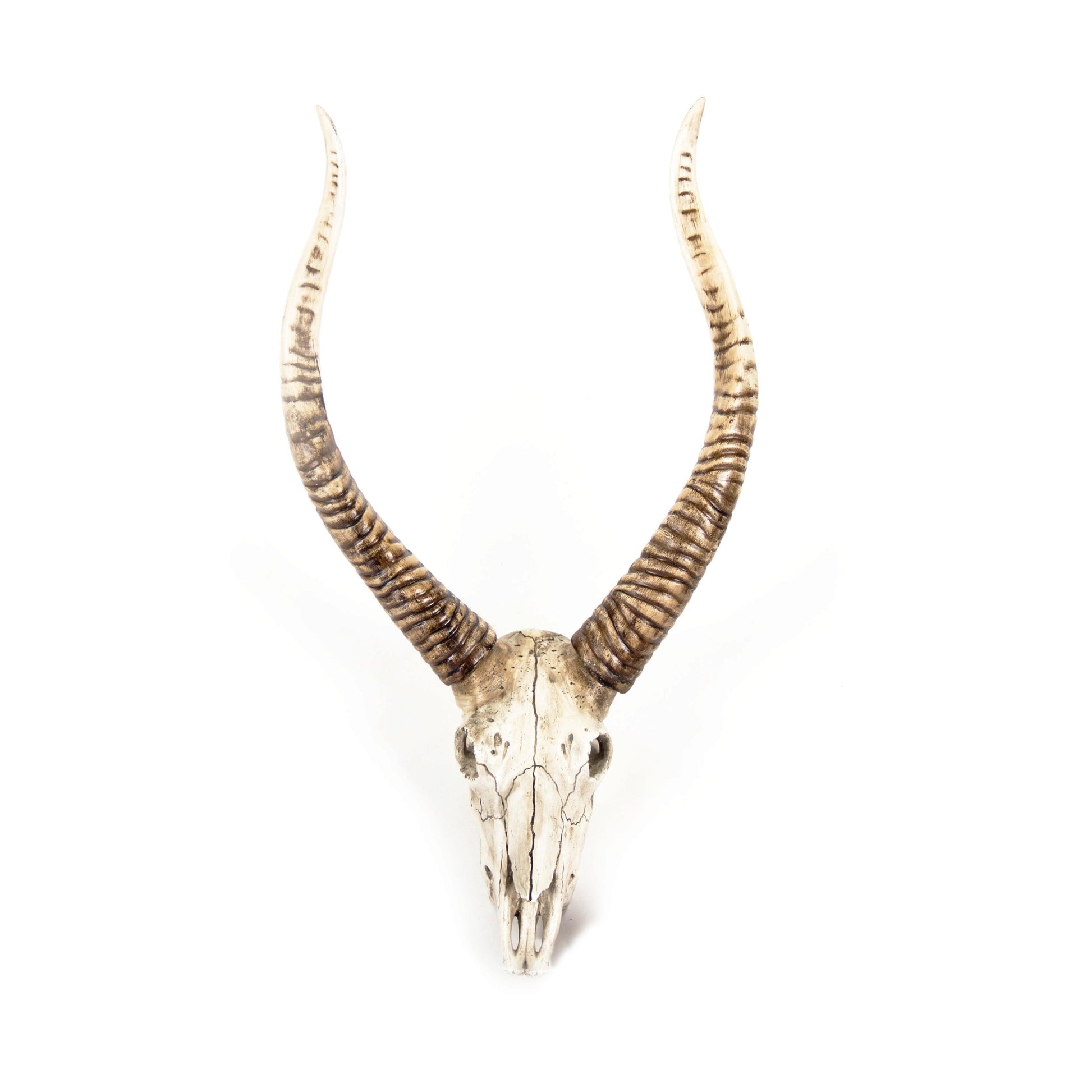 Goat Skull Wall Decor SHI001 FredCo