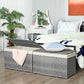 Gray Storage Trunk with Lid & Cotton Liner Bag FredCo