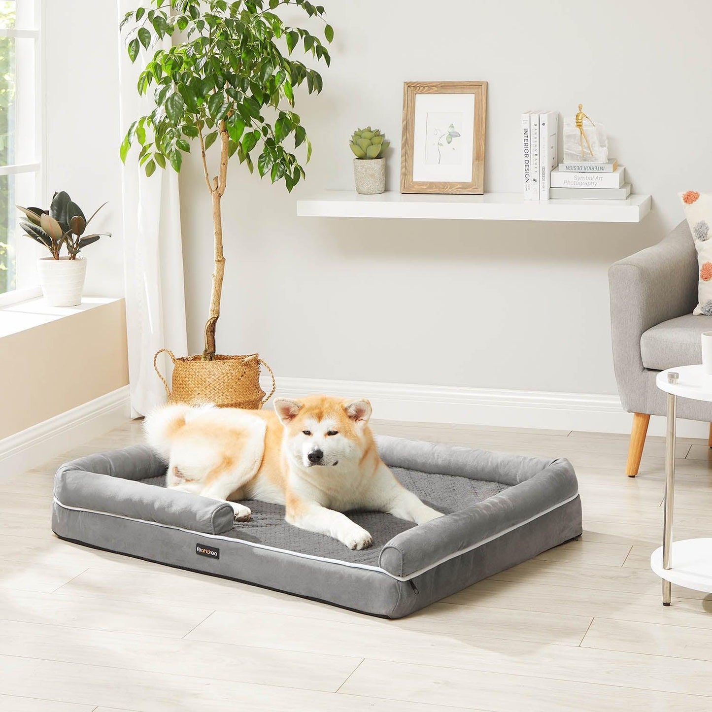 Grey Memory Foam Dog Bed FredCo