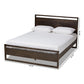 Inicio Modern and Contemporary Charcoal Brown Finished Wood Queen Size Platform Bed FredCo