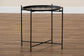 Ivana Modern and Contemporary Black Finished Metal Plant Stand FredCo