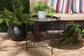 Ivana Modern and Contemporary Black Finished Metal Plant Stand FredCo