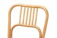Ivora Modern Bohemian Natural Brown Rattan 2-Piece Dining Chair Set FredCo