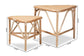 Jayden Modern Bohemian Natural Brown Finished Rattan 2-Piece End Table Set FredCo