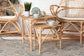Jayden Modern Bohemian Natural Brown Finished Rattan 2-Piece End Table Set FredCo
