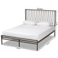 Jeanette Modern and Contemporary Black Finished Metal Queen Size Platform Bed FredCo