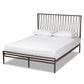 Jeanette Modern and Contemporary Black Finished Metal Queen Size Platform Bed FredCo