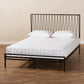 Jeanette Modern and Contemporary Black Finished Metal Queen Size Platform Bed FredCo