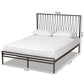 Jeanette Modern and Contemporary Black Finished Metal Queen Size Platform Bed FredCo