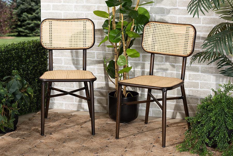 Katina Mid-Century Modern Dark Brown Finished Metal and Synthetic Rattan 2-Piece Outdoor Dining Chair Set FredCo