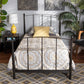 Lana Modern and Contemporary Black Finished Metal Twin Size Platform Bed FredCo