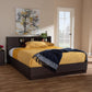 Larsine Modern and Contemporary Brown Finished Queen Size Platform Storage Bed FredCo
