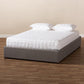 Leni Modern and Contemporary Light Grey Fabric Upholstered 4-Drawer Queen Size Platform Storage Bed Frame FredCo