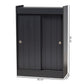 Leone Modern and Contemporary Charcoal Finished 2-Door Wood Entryway Shoe Storage Cabinet FredCo