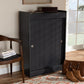 Leone Modern and Contemporary Charcoal Finished 2-Door Wood Entryway Shoe Storage Cabinet FredCo