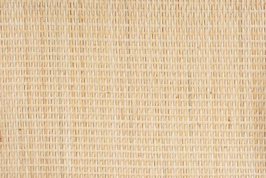 Liora Modern Bohemian Natural Brown Finished Rattan 2-Tier Display Shelf FredCo
