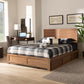 Lisa Modern and Contemporary Transitional Ash Walnut Brown Finished Wood Queen Size 3-Drawer Platform Storage Bed FredCo