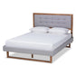 Livinia Modern Transitional Light Grey Fabric Upholstered and Ash Walnut Brown Finished Wood Queen Size Platform Bed FredCo