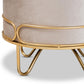 Lucienne Glam and Luxe Beige Velvet Fabric Upholstered Gold Finished Metal Ottoman FredCo