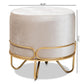 Lucienne Glam and Luxe Beige Velvet Fabric Upholstered Gold Finished Metal Ottoman FredCo