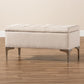 Mabel Modern and Contemporary Transitional Beige Fabric Upholstered and Silver Finished Metal Storage Ottoman FredCo