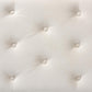 Mabel Modern and Contemporary Transitional Beige Velvet Fabric Upholstered Silver Finished Storage Ottoman FredCo