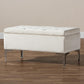 Mabel Modern and Contemporary Transitional Beige Velvet Fabric Upholstered Silver Finished Storage Ottoman FredCo