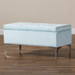 Mabel Modern and Contemporary Transitional Light Blue Velvet Fabric Upholstered Silver Finished Storage Ottoman FredCo