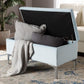 Mabel Modern and Contemporary Transitional Light Blue Velvet Fabric Upholstered Silver Finished Storage Ottoman FredCo