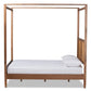 Malia Modern and Contemporary Walnut Brown Finished Wood and Synthetic Rattan Queen Size Canopy Bed FredCo