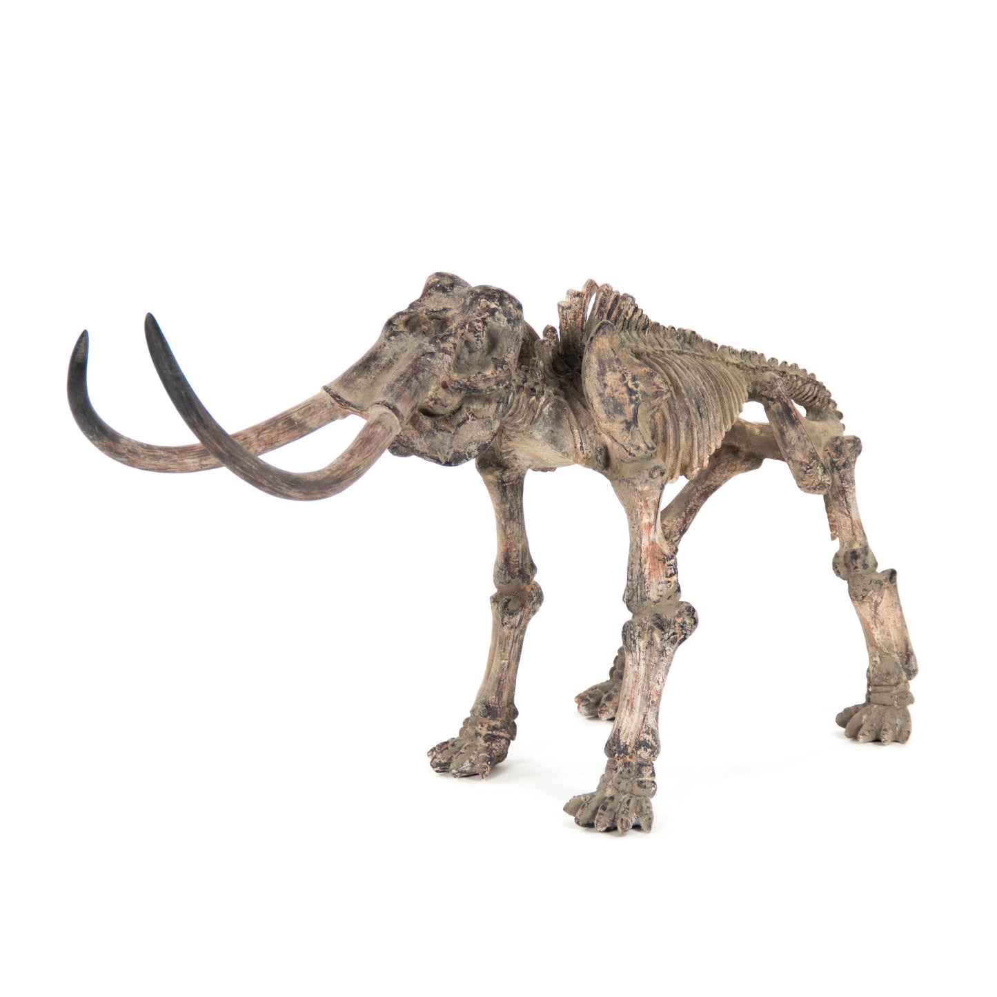 Mammoth Skeleton SHI012 FredCo