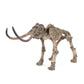 Mammoth Skeleton SHI012 FredCo