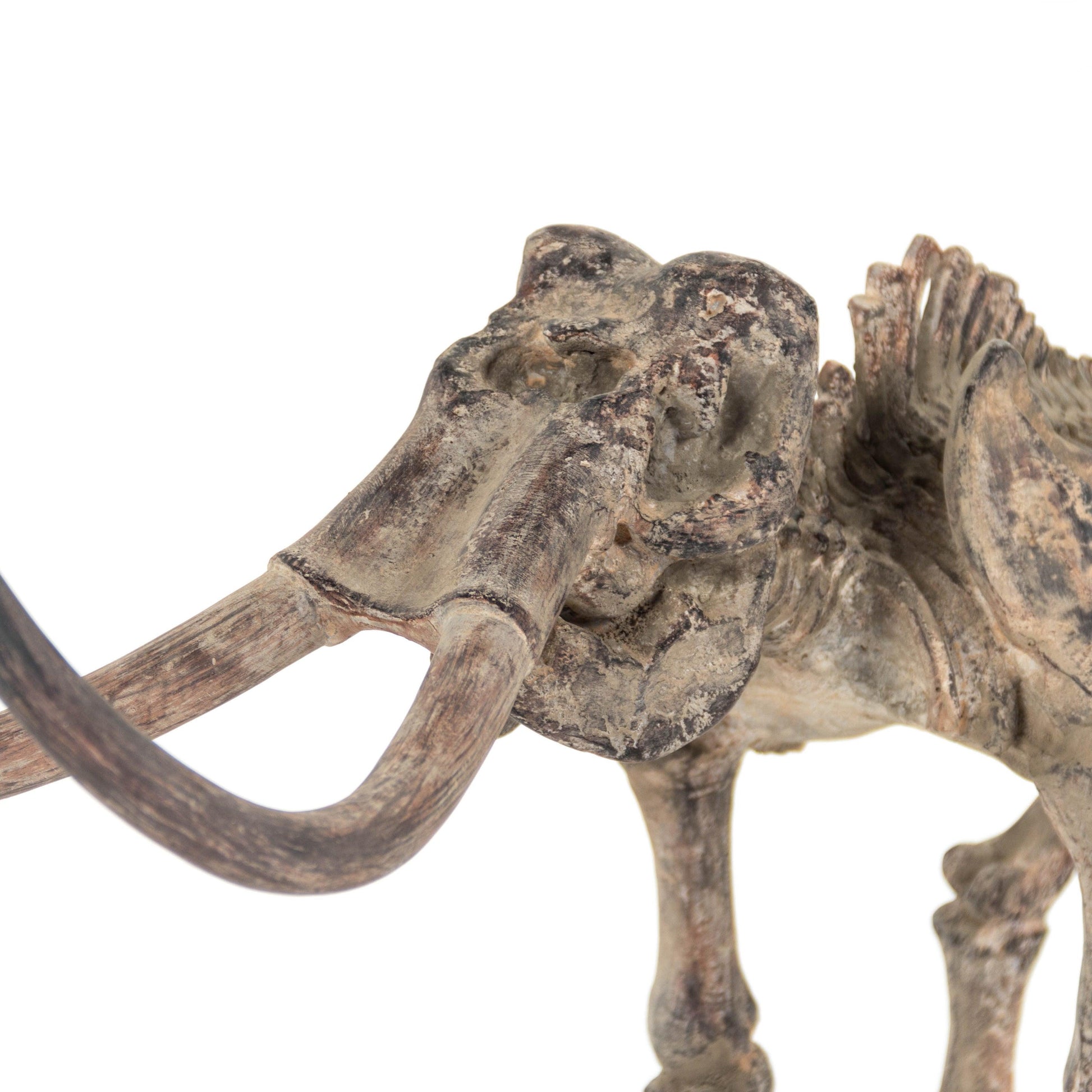Mammoth Skeleton SHI012 FredCo