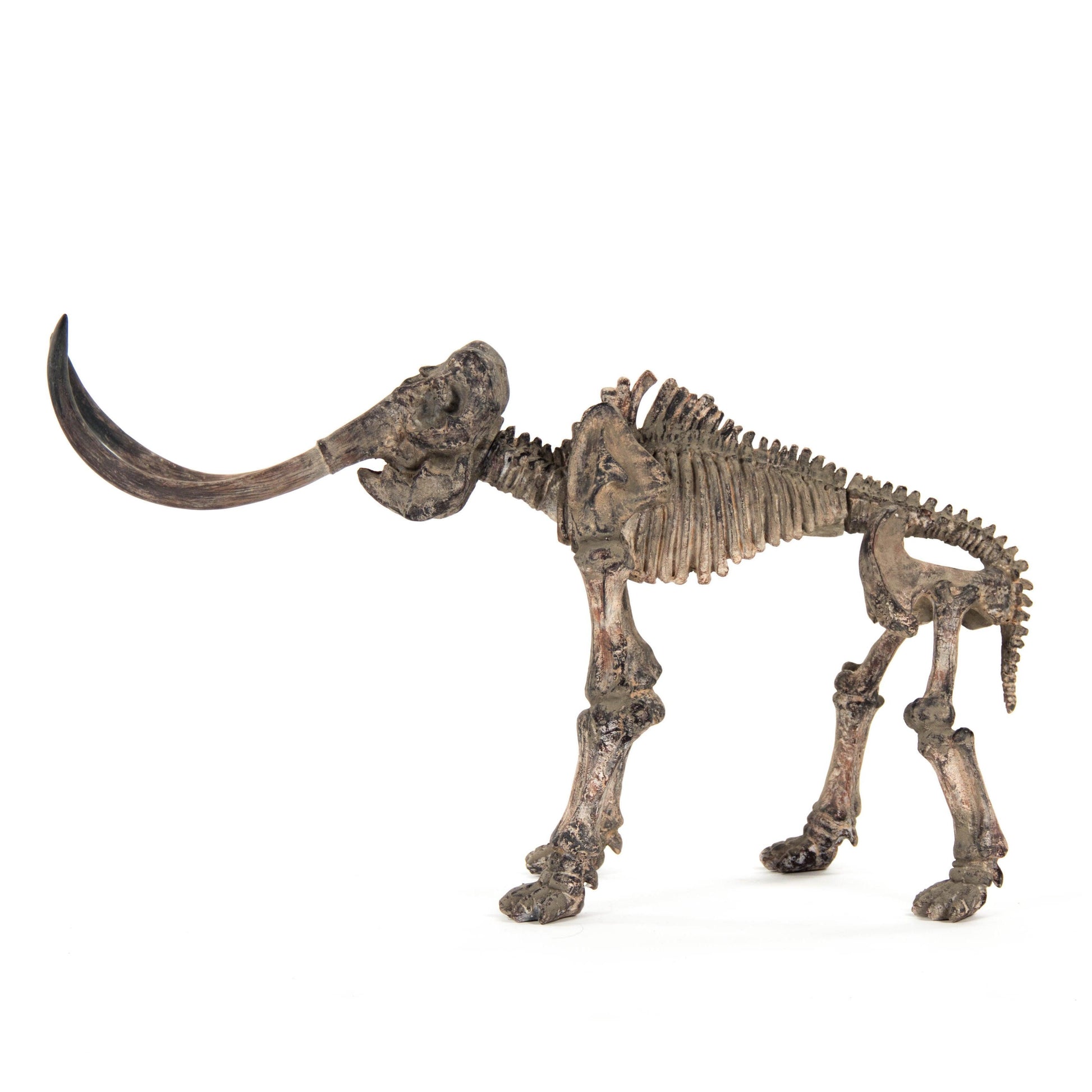 Mammoth Skeleton SHI012 FredCo